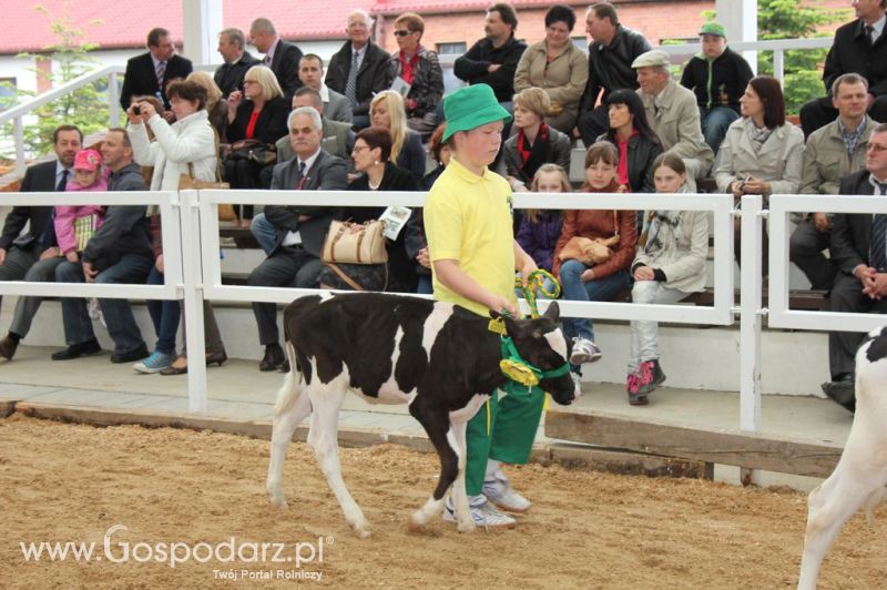 Mali Hodowcy VII Ogólnopolska Wystawa Bydła Hodowlanego w Sielinku 2012