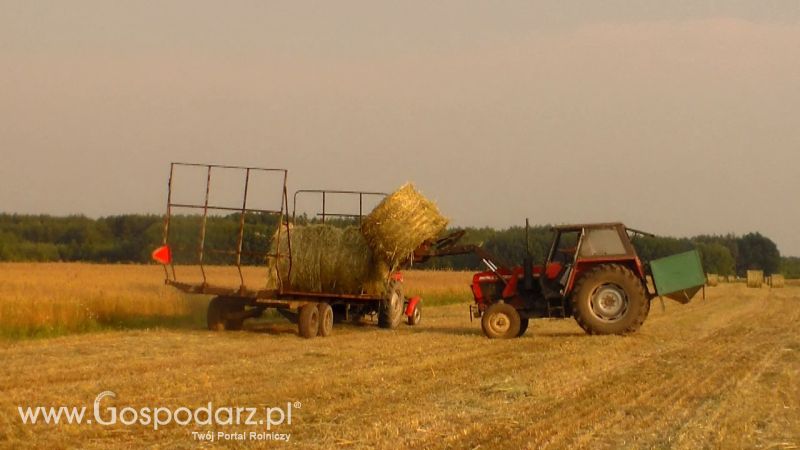 Zbiór Słomy 2013