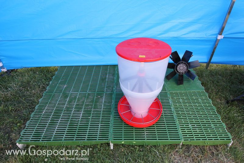  Regionalna Wystawa Zwierząt Hodowlanych W Szepietowie 2016 z Gospodarz.pl