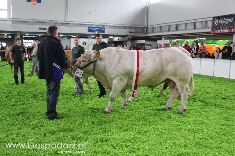 XXVI Krajowa Wystawa Zwierząt Hodowlanych - sobota i niedziela