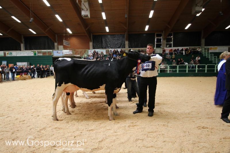 Wystawa  Blickpunkt Rind 2013 w miejscowości Paaren/Glien (Niemcy)