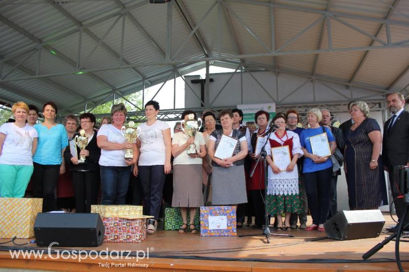 Święto Kaczki w Przygodzicach