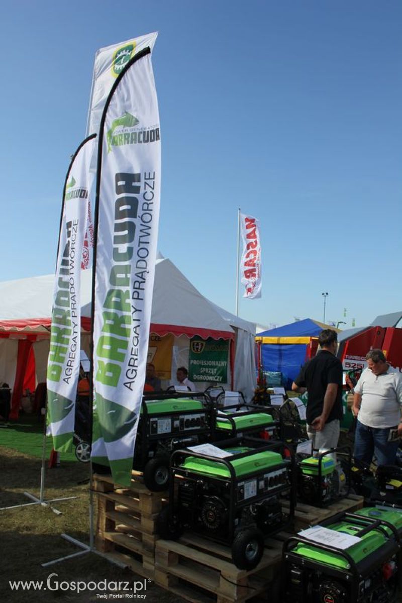 Husar na targach rolniczych Agroshow 2012 w Bednarach