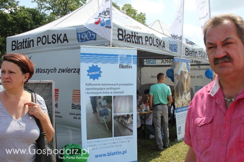 Blattin Polska - Szepietowo 2013
