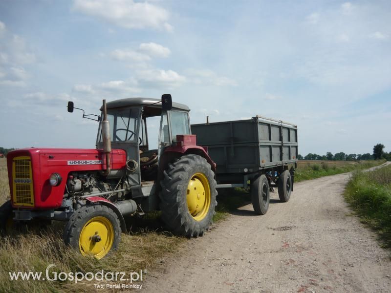 Żniwa Rzepakowe 2011