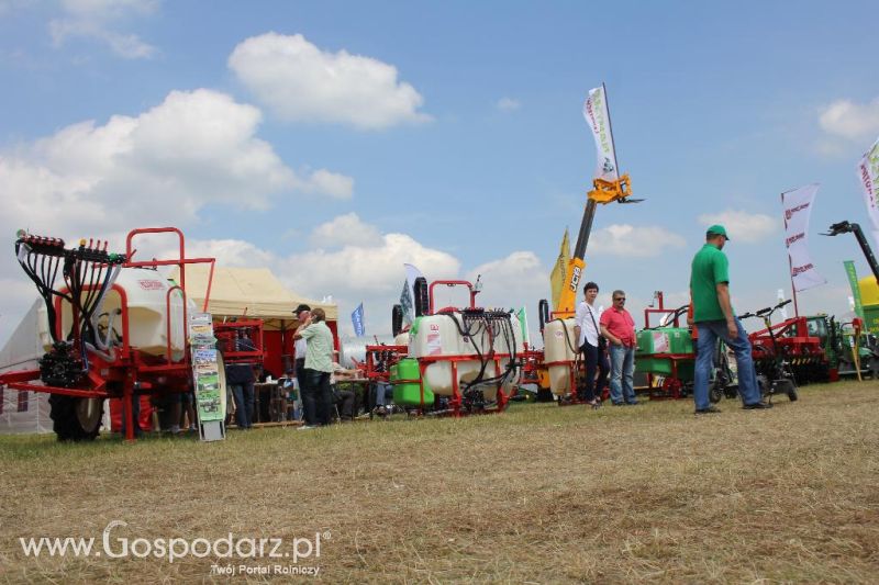 Bury na Opolagrze 2013