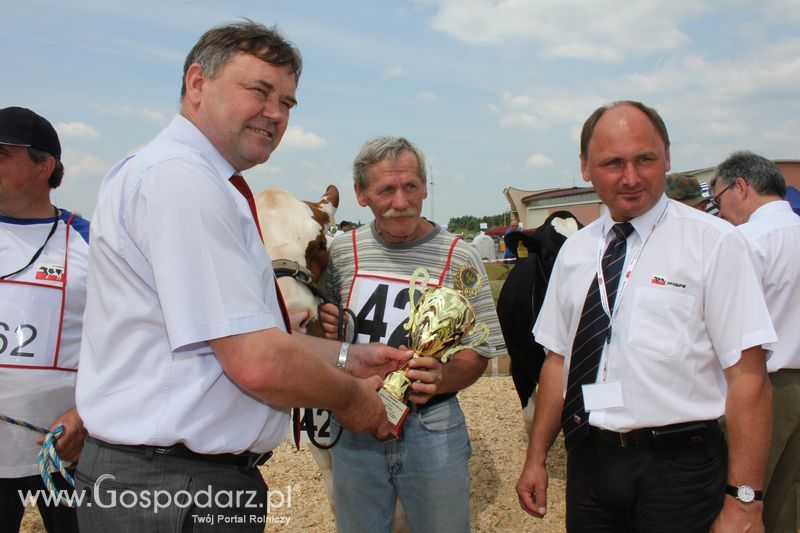 Superchampioni i championi Śląskiej Wystawy Bydła Mlecznego Opolagra 2011