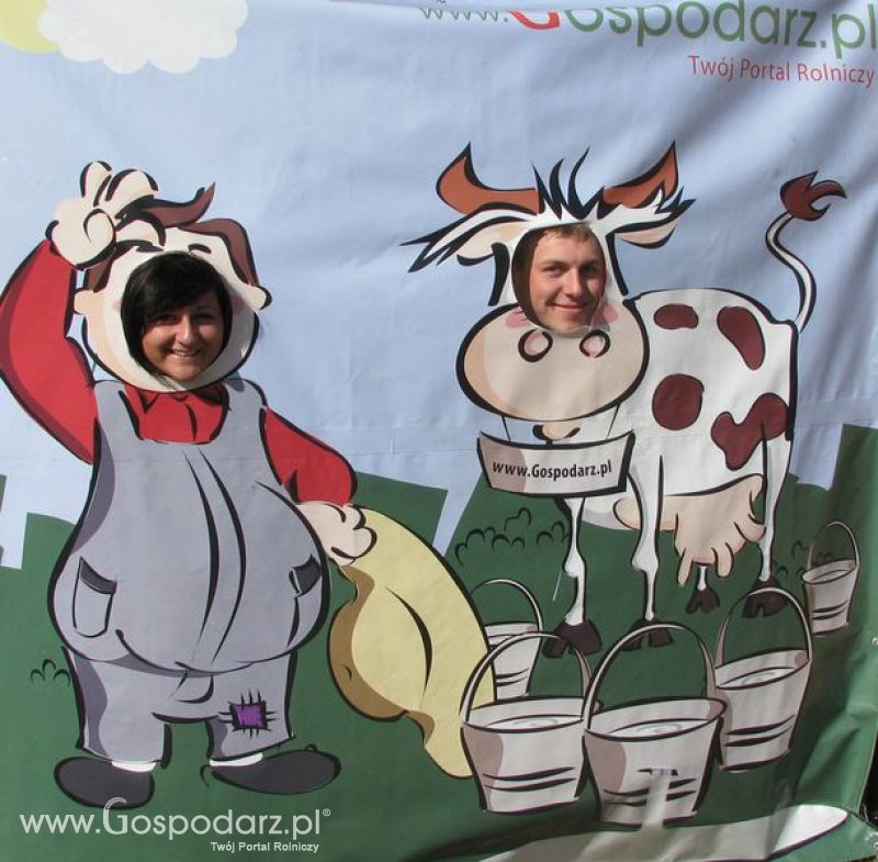 Agro Show 2011 Bednary Zdjęcie z krówką Sobota