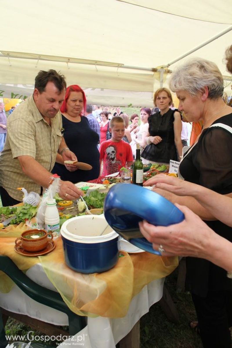 VIII Święto Gęsi - Konkurs kulinarny Najlepsza potrawa z Gęsi
