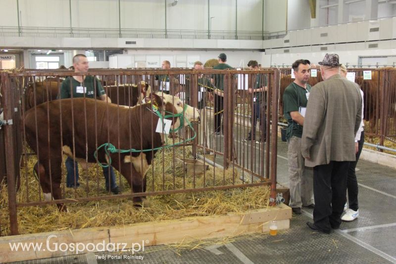 XXVI Krajowa Wystawa Zwierząt Hodowlanych - piątek