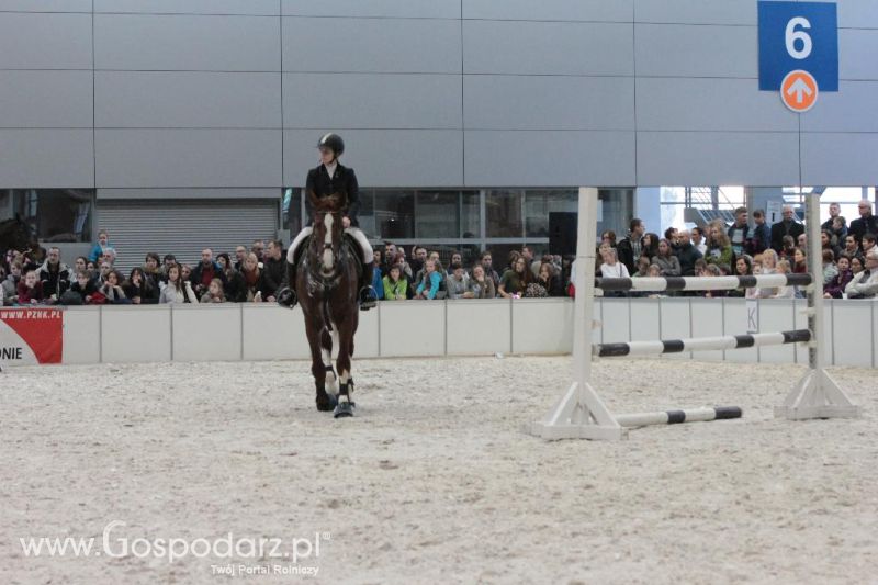 CAVALIADA 2013 w Poznaniu