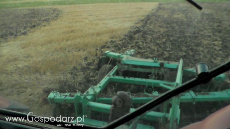 Talerzowane 2013 