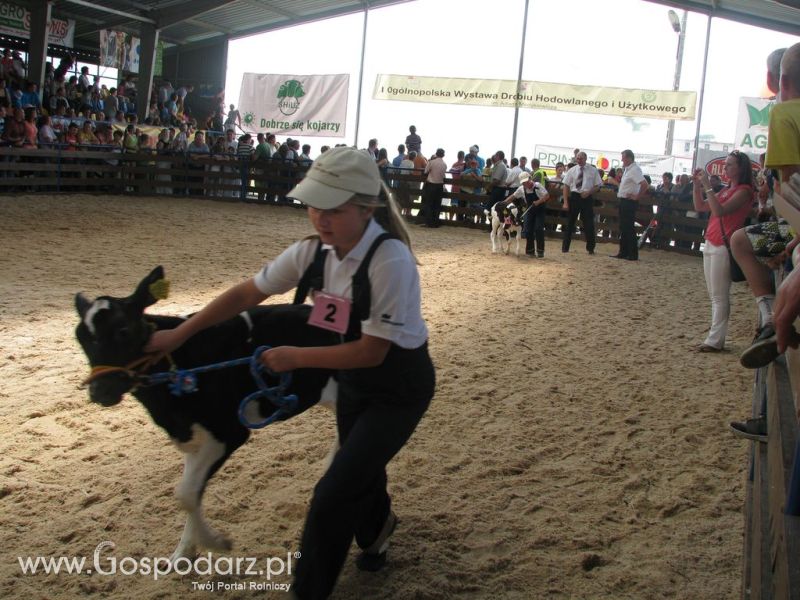 Młody Hodowca - Szepietowo 2012 XIX Regionalna Wystawa Zwierząt Hodowlanych