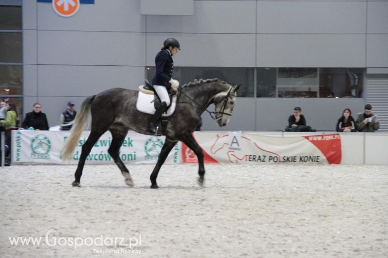 CAVALIADA 2013 w Poznaniu