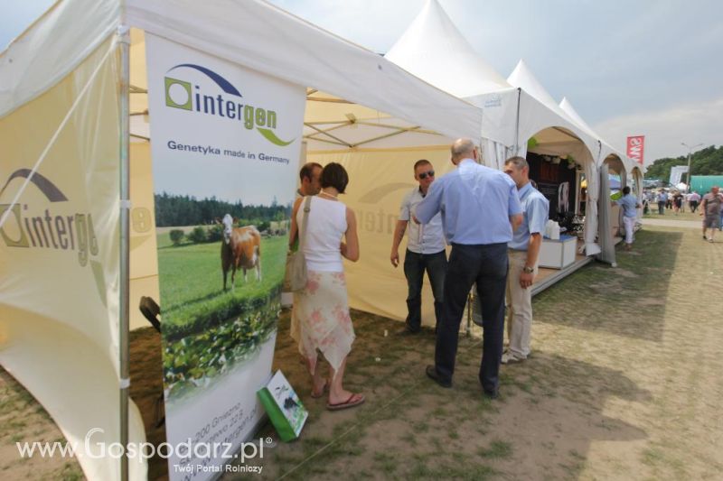 Intergen na targach AGRO-TECH w Minikowie 2014