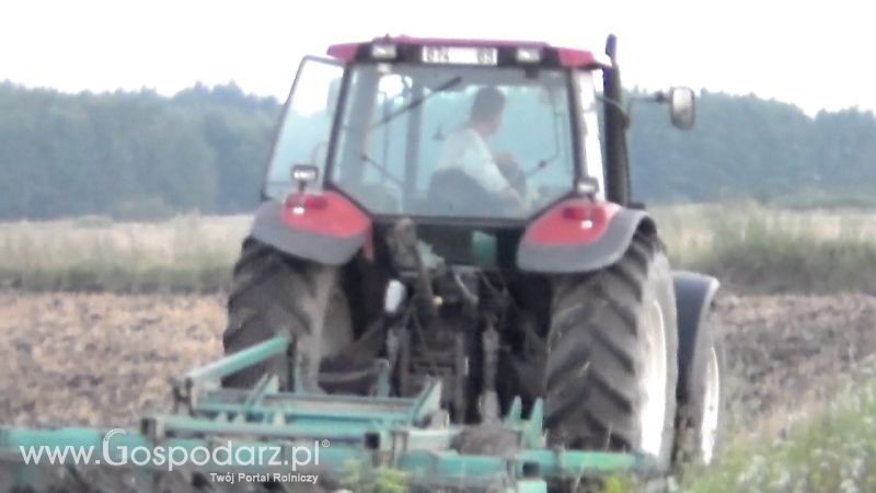 Talerzowane 2013 