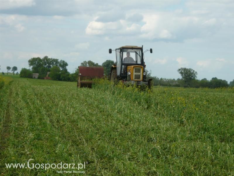 Żniwa Rzepakowe 2011 z MrZgredy