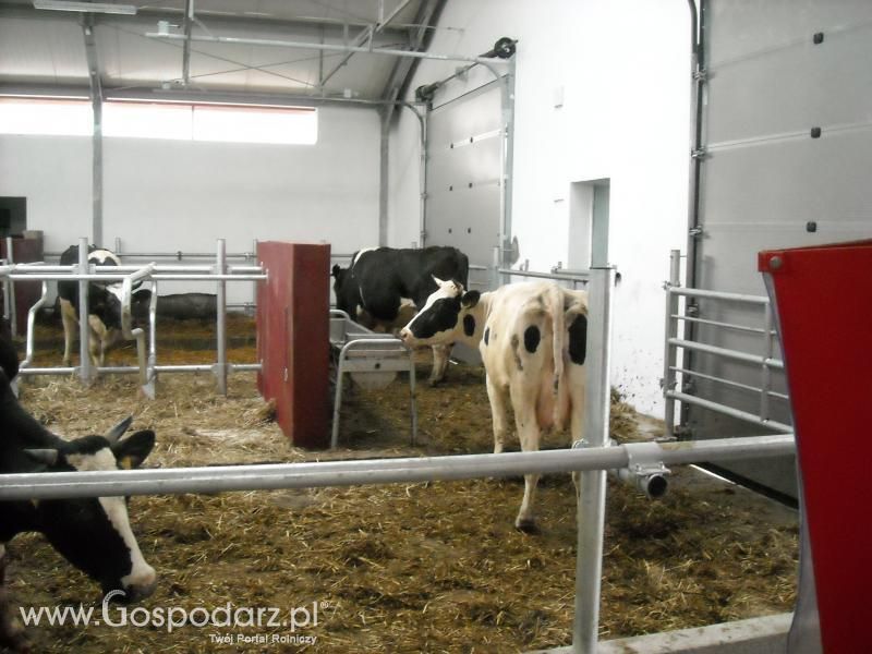 Dzień pracy rolnika-wizyta MrZgredy u MafiaOgiegooo