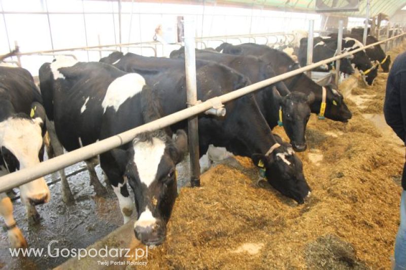Wyjazd studyjny na farmę w Hohenhameln (Niemcy)