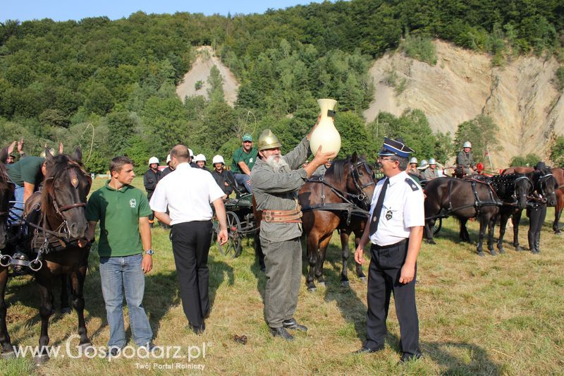 Pokazy konne i wręczenie nagród w Rudawce Rymanowskiej