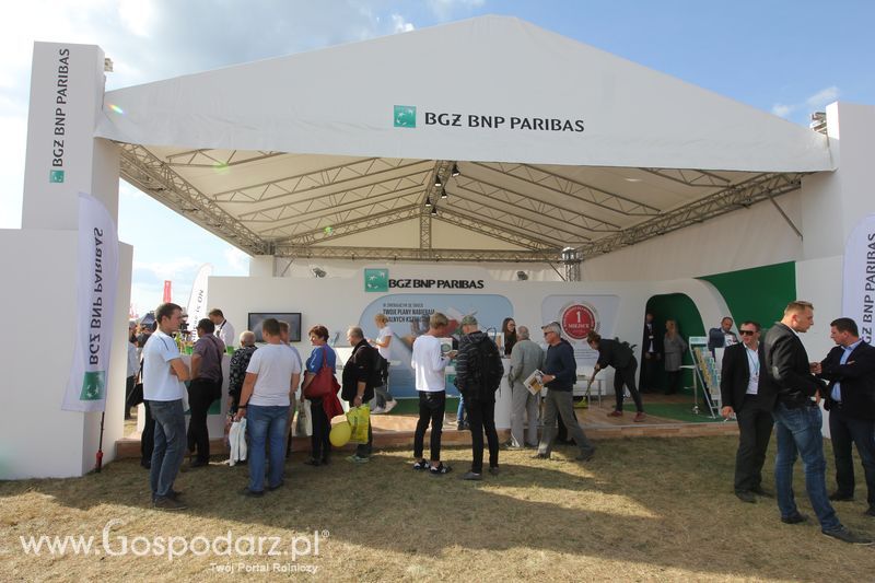BGŻ BNP Paribas na AGRO SHOW 2016