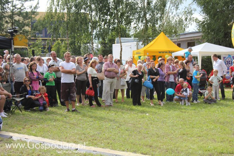 Festiwal Wieprzowiny w Targowisku Dolnym