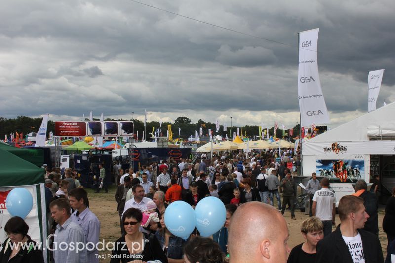 XVIII Regionalna Wystawa Zwierząt Hodowlanych w Szepietowie - niedziela