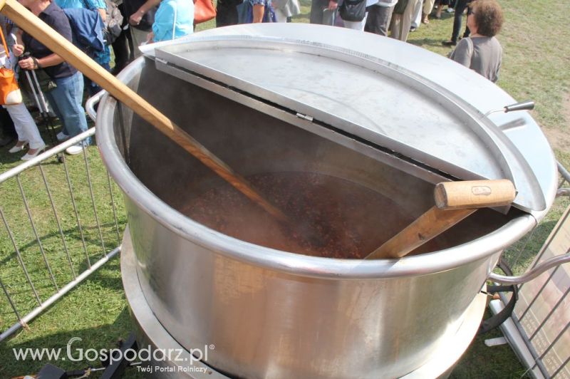 Świętomięs Polski w Chorzowie