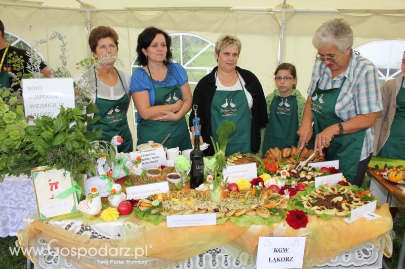 IX Święto Gęsi w Biskupcu