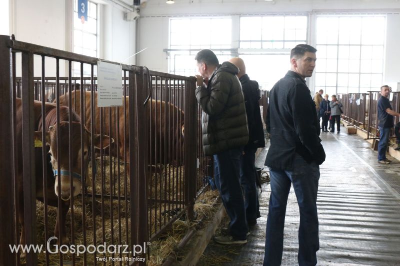 Krajowa Wystawa Zwierząt Hodowlanych w Poznaniu 2017 (piątek, 5 maja)