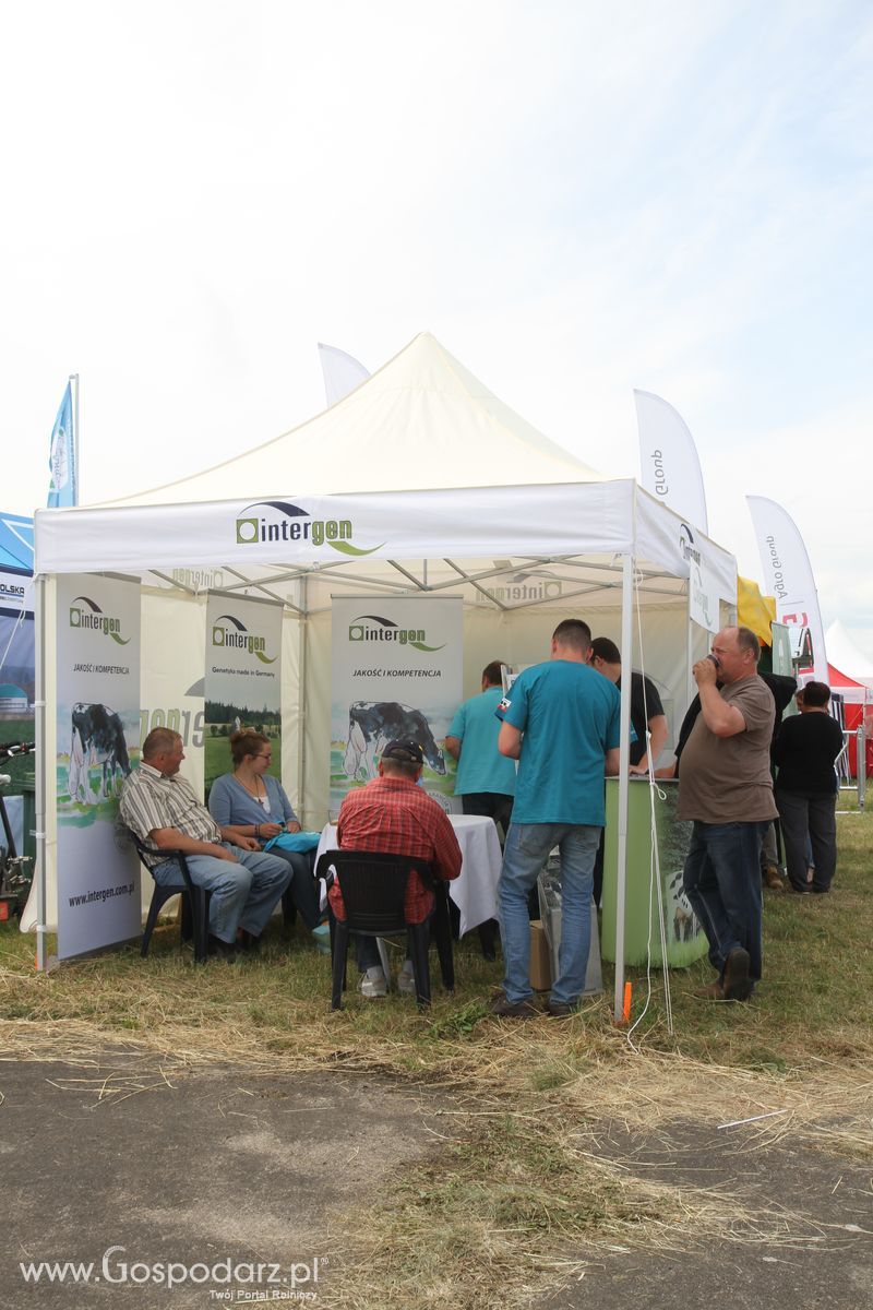 InterGen na OPOLAGRZE 2016