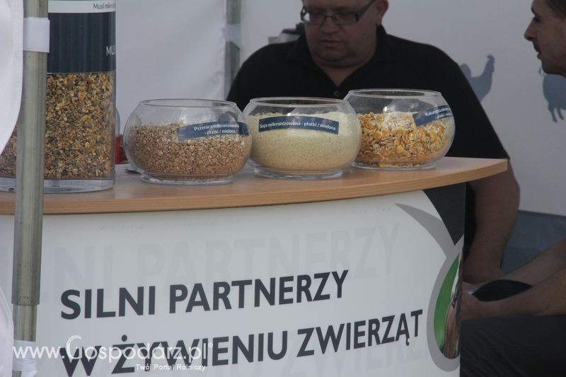 MICHEL PASZE na Zielonym AGRO SHOW - Polskie Zboża 2015 w Sielinku