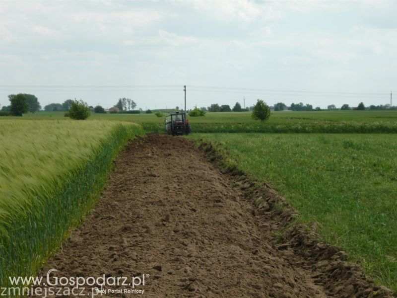 Żniwa Rzepakowe 2011 z MrZgredy