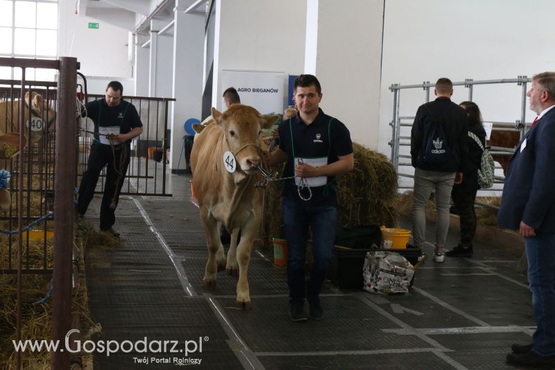 Krajowa Wystawa Zwierząt Hodowlanych w Poznaniu 2017 (piątek, 5 maja)