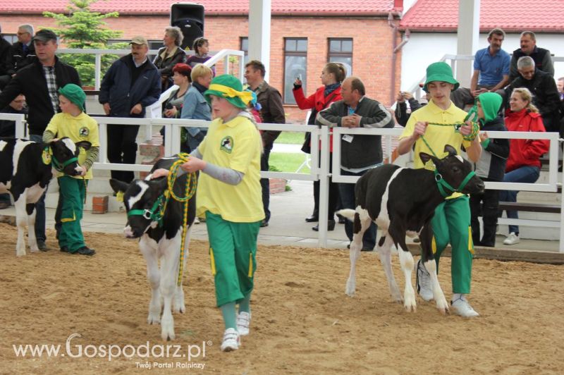 Mali Hodowcy VII Ogólnopolska Wystawa Bydła Hodowlanego w Sielinku 2012