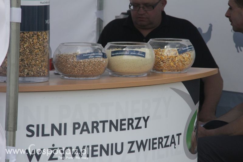 Zielone AGRO SHOW - Polskie Zboża 2015 w Sielinku