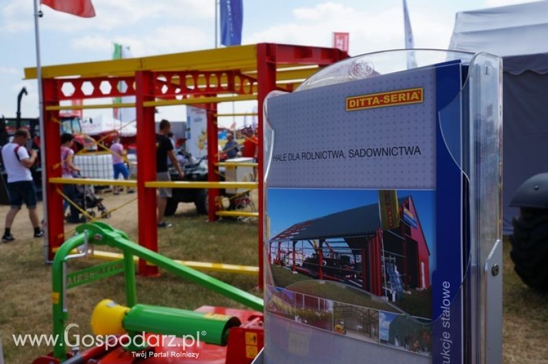 Ditta-Seria na OPOLAGRZE 2015