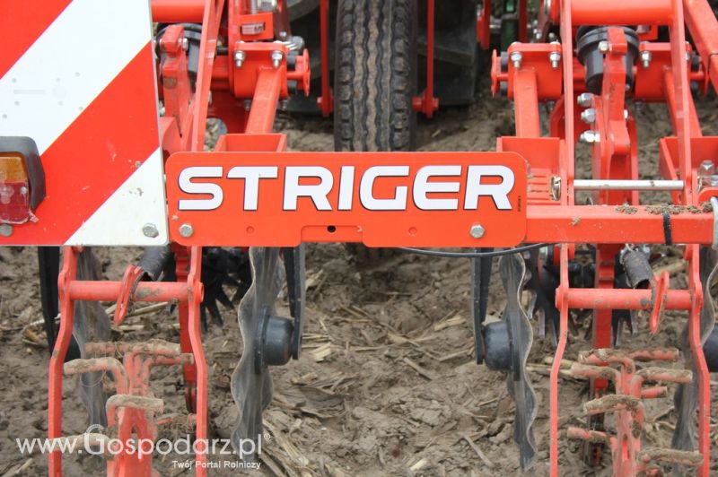 Kultywator STRIGER do uprawy pasowej