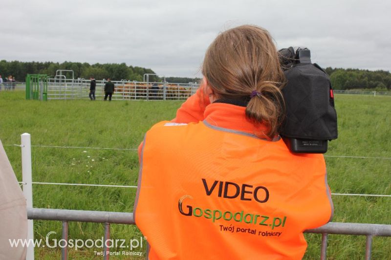 Polskie Zboża i Zielone Agro Show 2013
