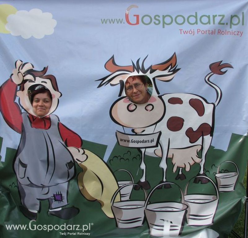 Wielkopolskie Targi Rolnicze „Sielinko 2011”  - Krówka Gospodarza