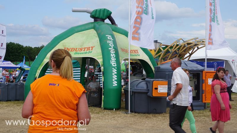 OPOLAGRA 2015 w Kamieniu Śląskim