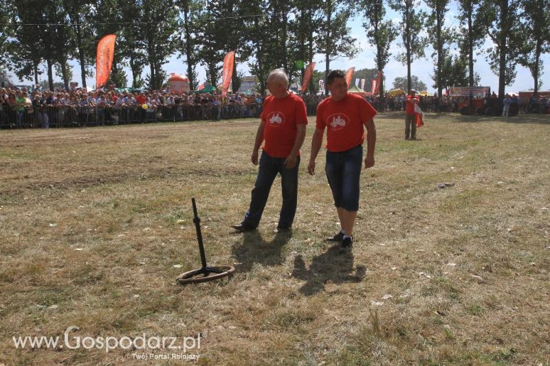 XII Festiwal Starych Ciągników im. Jerzego Samelczaka w Wilkowicach 2013 - niedziela