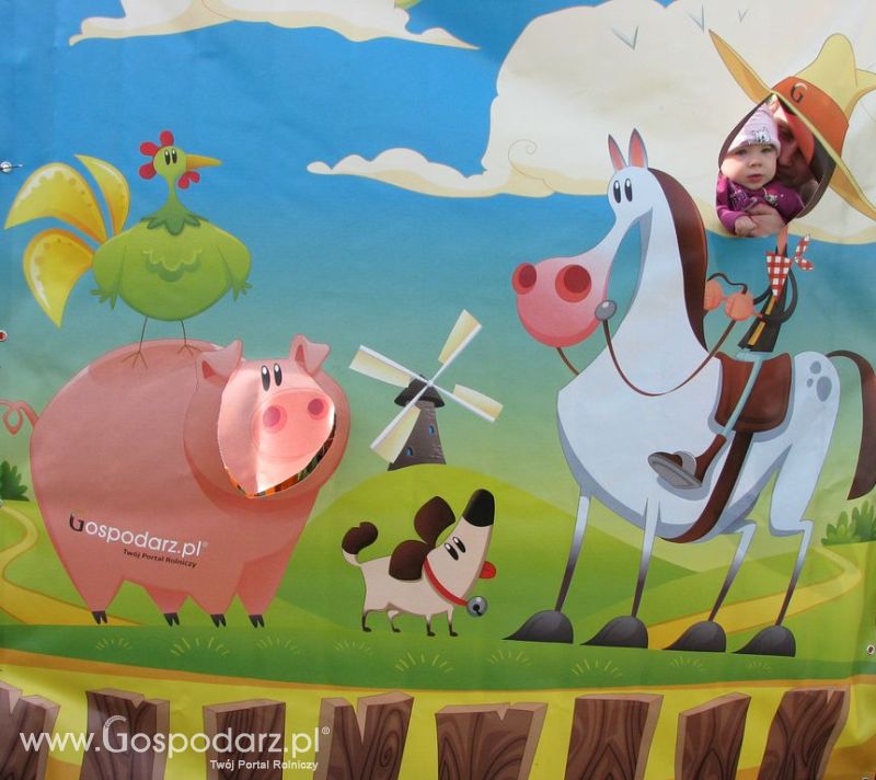 Zdjęcia ze świnką na Agro Show 2012 piątek