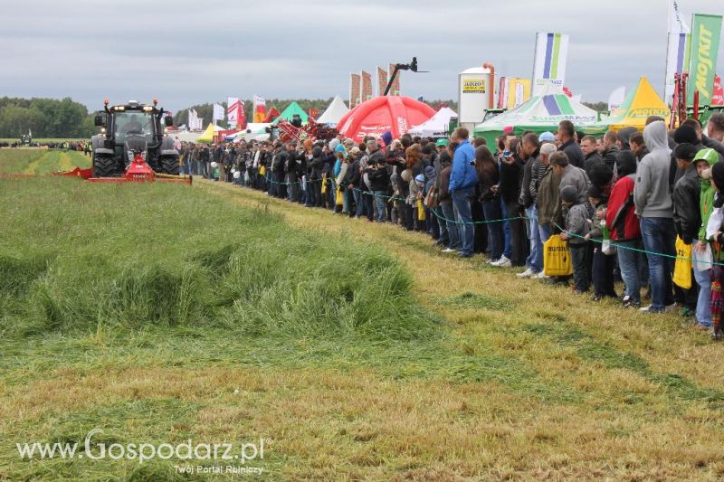 Pokazy maszyn Polskie Zboża Zielone Agro Show 2013