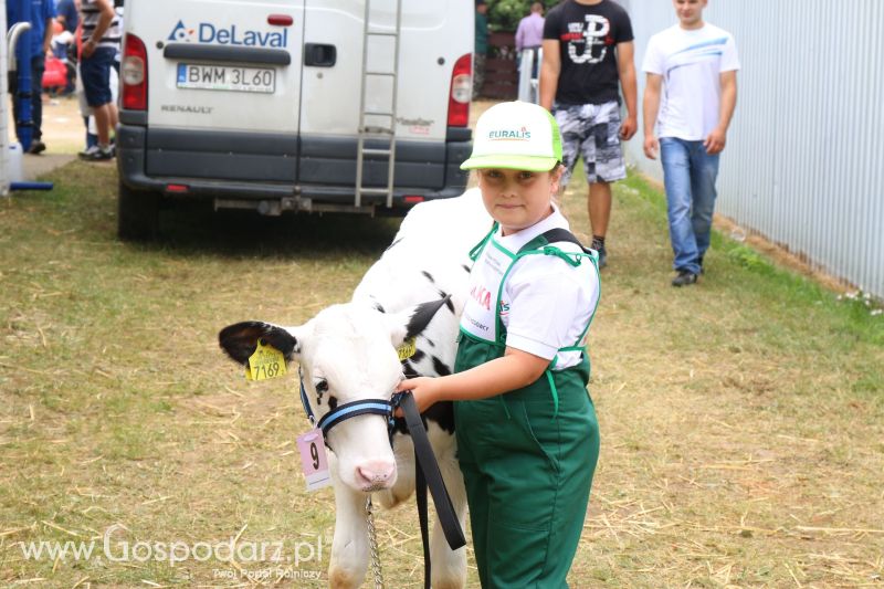 Regionalna Wystawa Zwierząt Hodowlanych i Dni z Doradztwem Rolniczym w Szepietowie 2017 (niedziela)