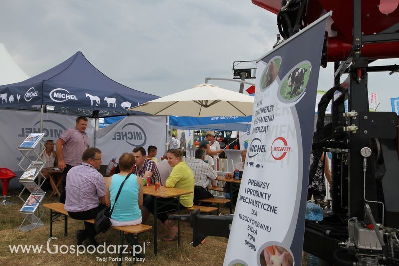 Michel na OPOLAGRZE 2015