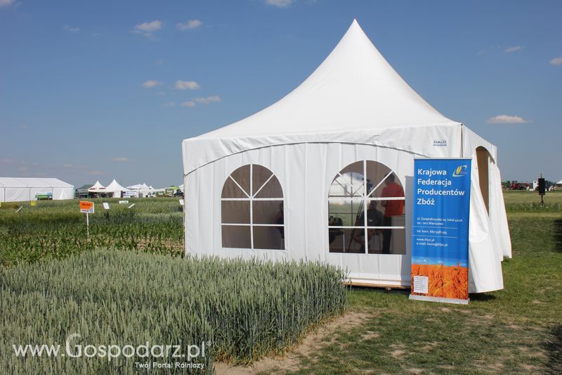 Polskie Zboża 2011 - Sobota