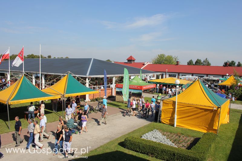 Ogólnopolski Festiwal Wieprzowiny w Sielinku