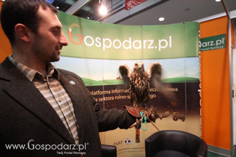 CAVALIADA 2013 w Poznaniu
