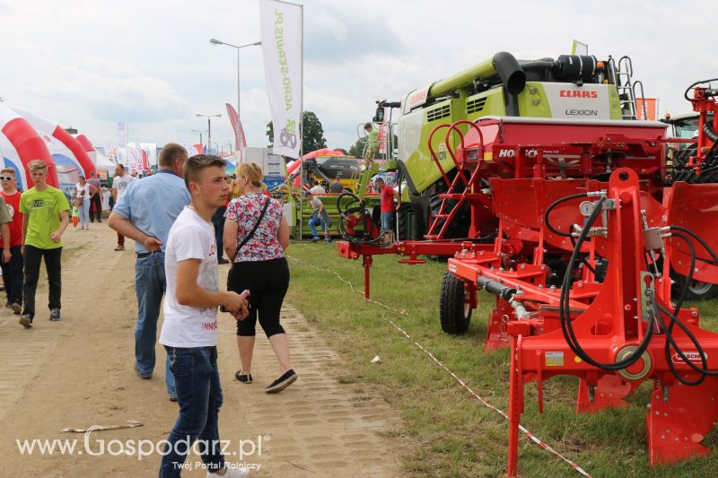 Maschio Gaspardo na Regionalnej Wystawie Zwierząt Hodowlanych i Dni z Doradztwem w Szepietowie 2017